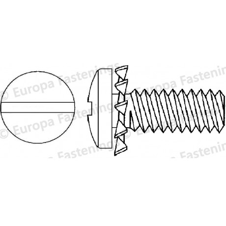 Sems Screw Pan (Din 7985) Slotted c/w External Shakeproof (Din 6907A) Washer