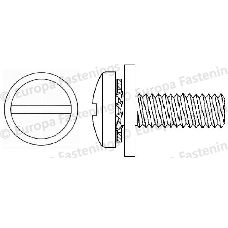Sems Screw Pan (Din 7985) Slotted c/w Internal Shakeproof & Plain (Din 6902A) Washers