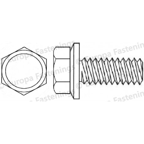 Sems Screw Hex Head (Din 933) c/w Conical Spring (Din 6908) Washer