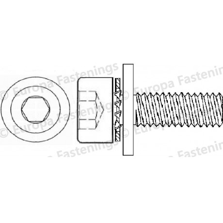 Sems Screw Socket Cap (Din 912) c/w Internal Shakeproof Washer & Plain (Din 6902A)